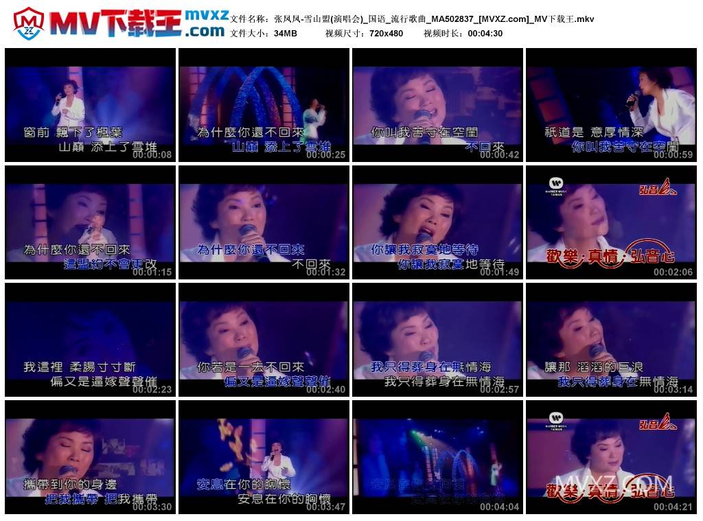 张凤凤-雪山盟(演唱会)_国语_流行歌曲_MA502837